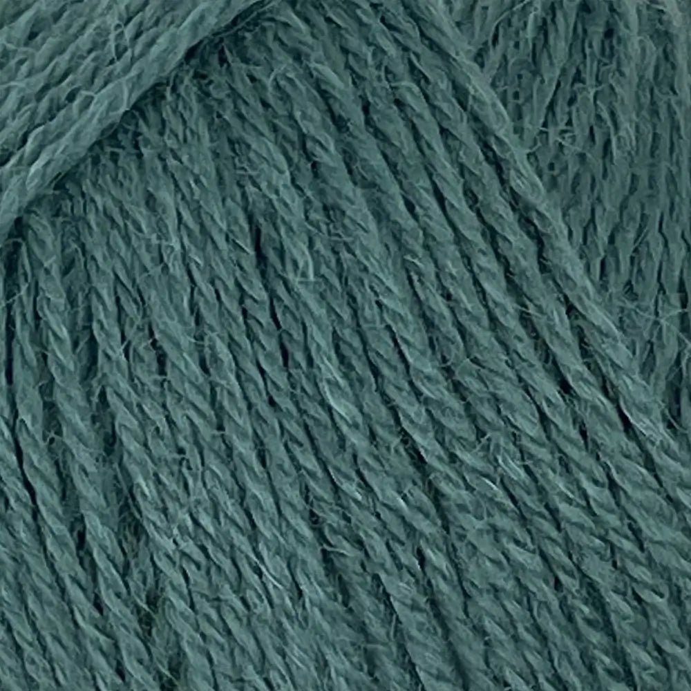 #Farbe_Drops Flora Uni | 23 Nebelwald