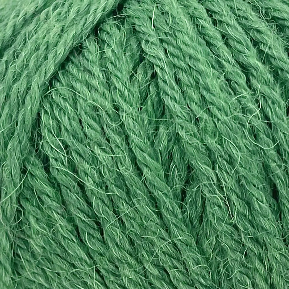 #Farbe_Drops Nord Uni | 19 Waldgrün