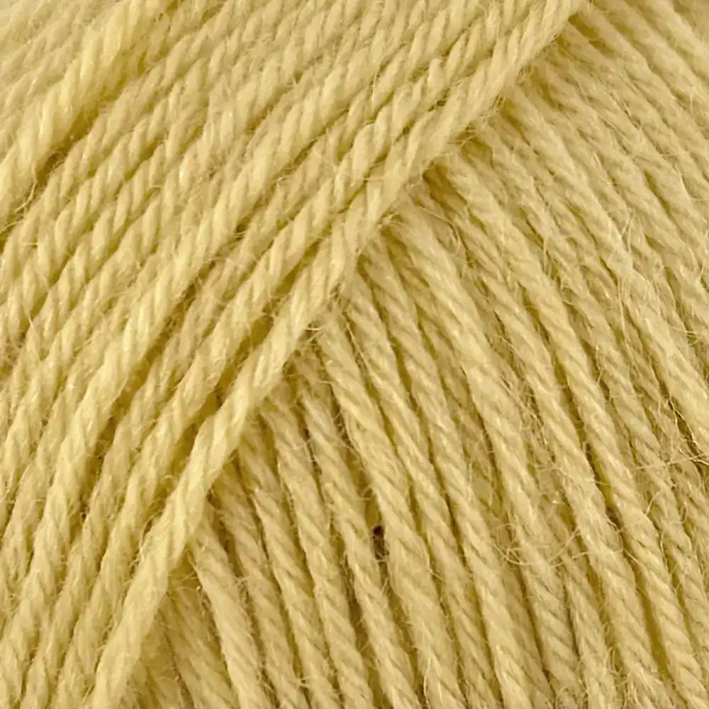 #Farbe_Drops Nord Uni | 28 Löwenzahn