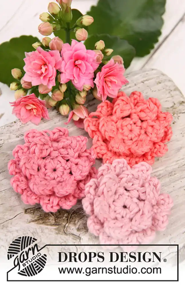 Blüte Kalanchoe (Häkelset)