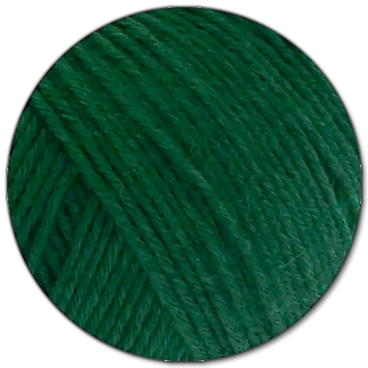 #Farbe_Lana Grossa Alpina | 16 Flaschengrün