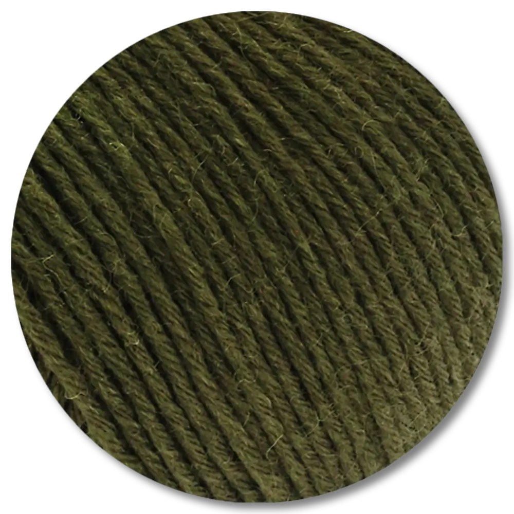 #Farbe_Lana Grossa Alpina | 64 Dunkeloliv