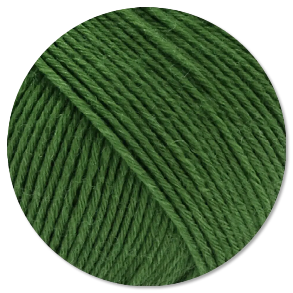#Farbe_Lana Grossa Alpina | 79 Grün