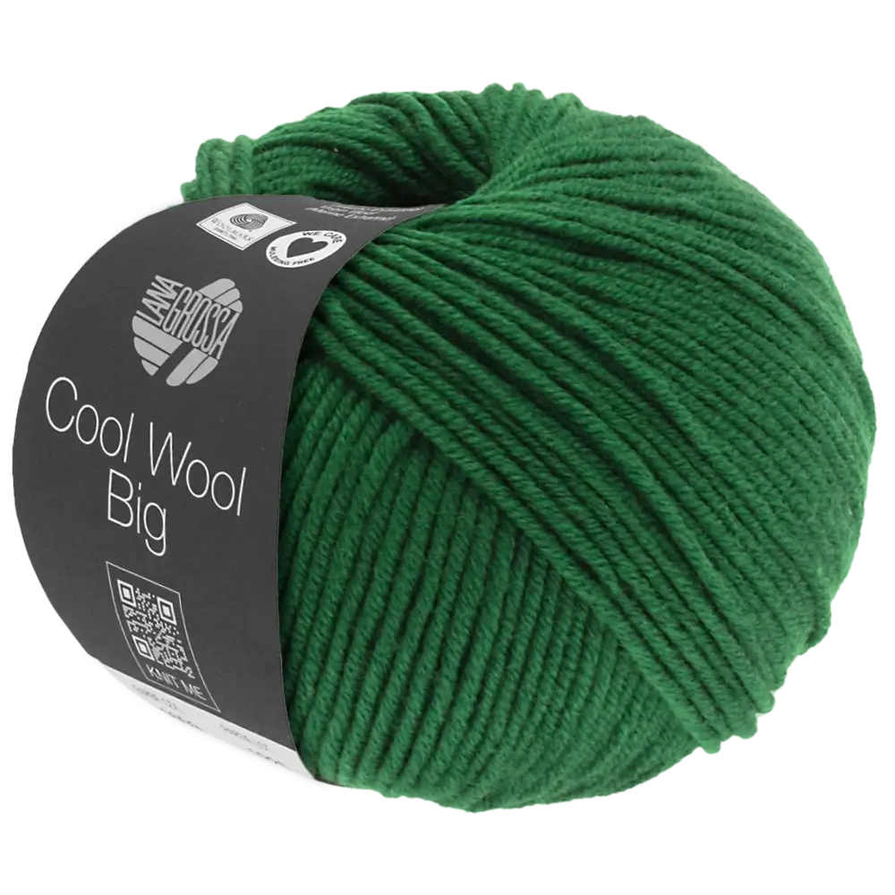 #Farbe_Lana Grossa Cool Wool Big | 949 Flaschengrün