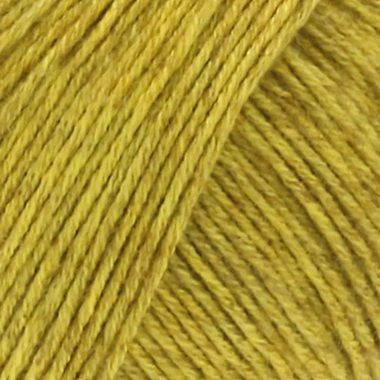 #Farbe_Lana Grossa Diversa | 12 Curry