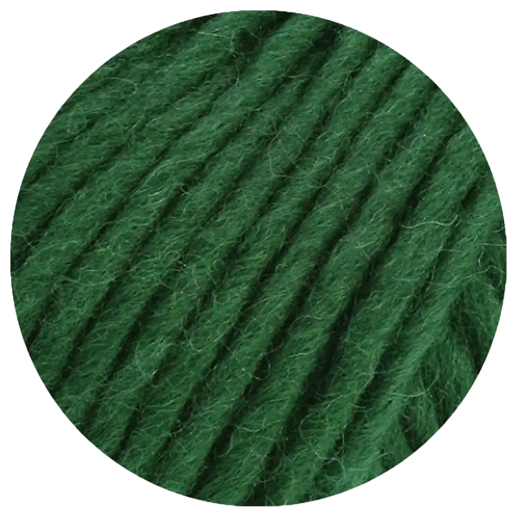 #Farbe_Lana Grossa Feltro Uni | 111 Flaschengrün