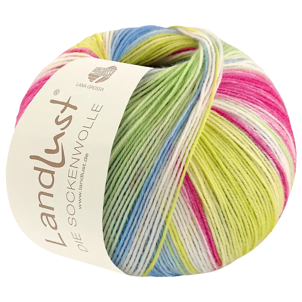 #Farbe_Lana Grossa Landlust die Sockenwolle 4-fach | 123