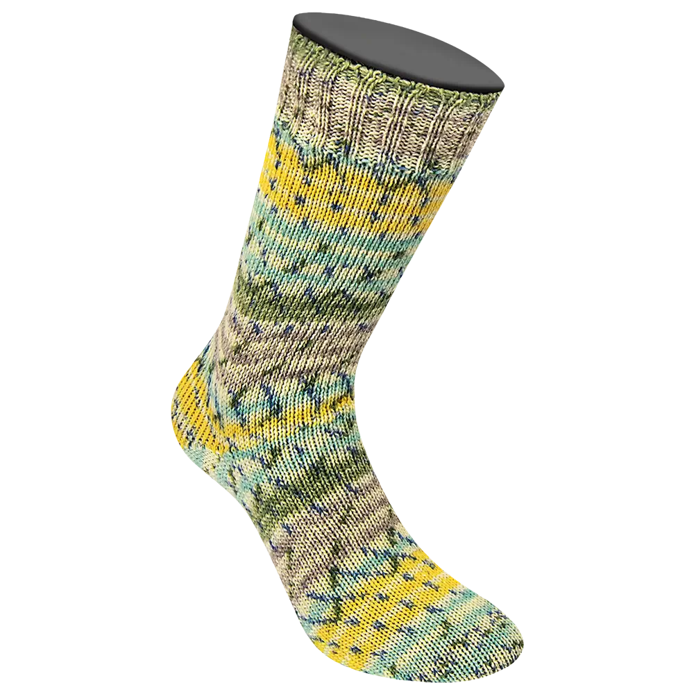 #Farbe_Lana Grossa Landlust die Sockenwolle 4-fach | 511