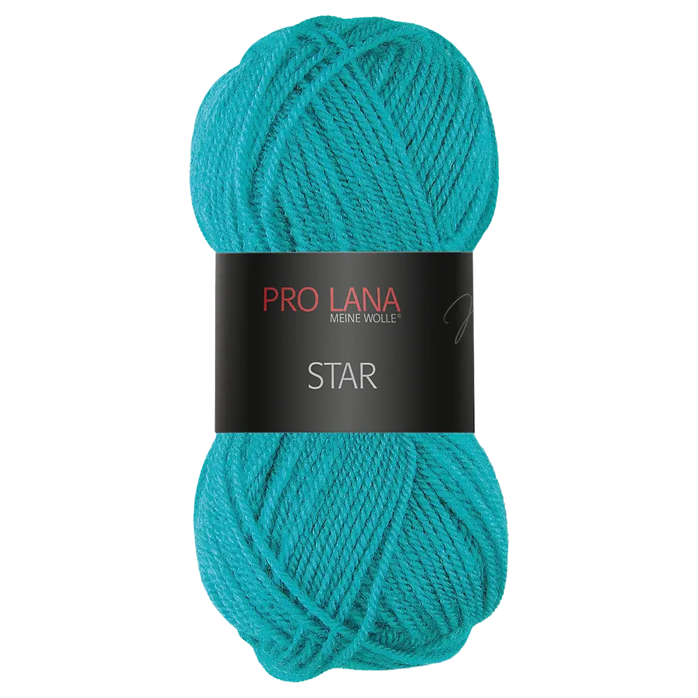 #Farbe_Pro Lana Star | 65 Türkis