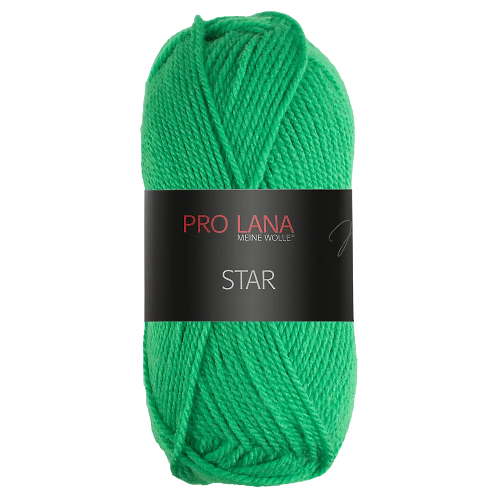 #Farbe_Pro Lana Star | 77 Mittelgrün