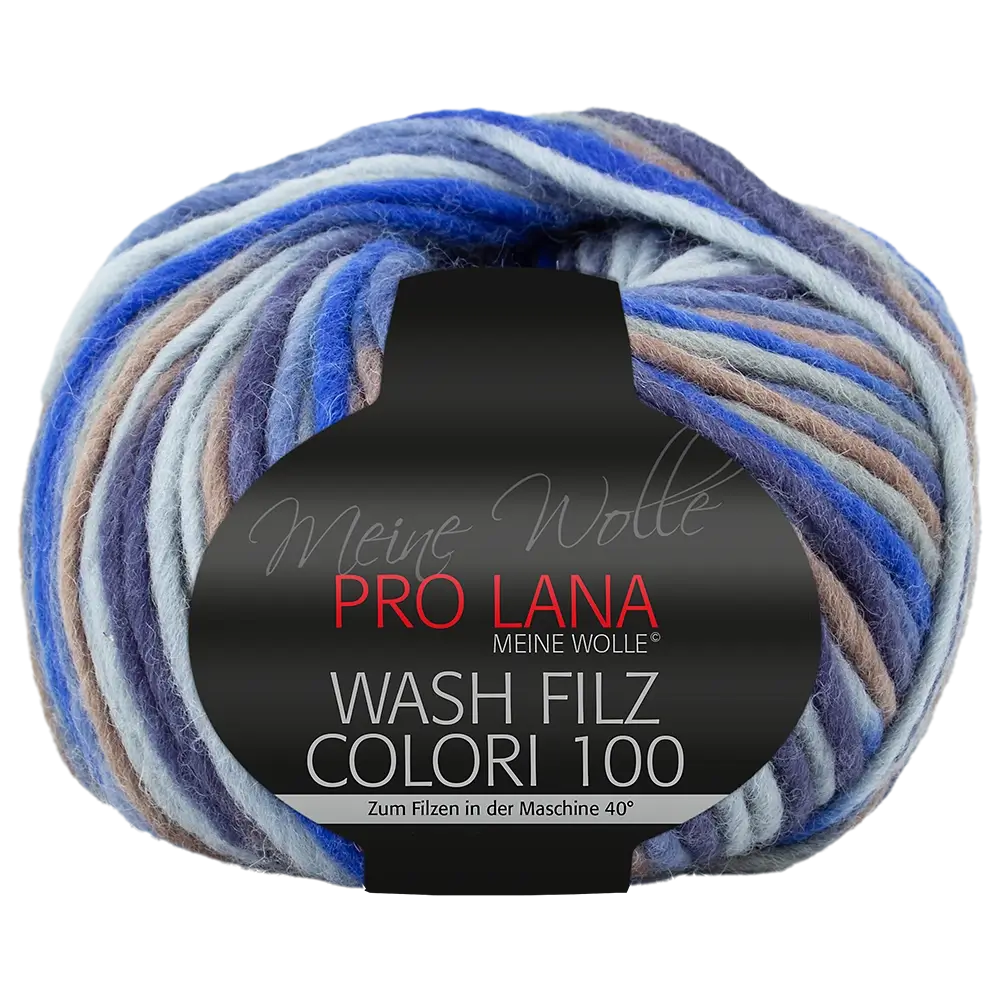 #Farbe_Pro Lana Was Filz Colori 100 | 701
