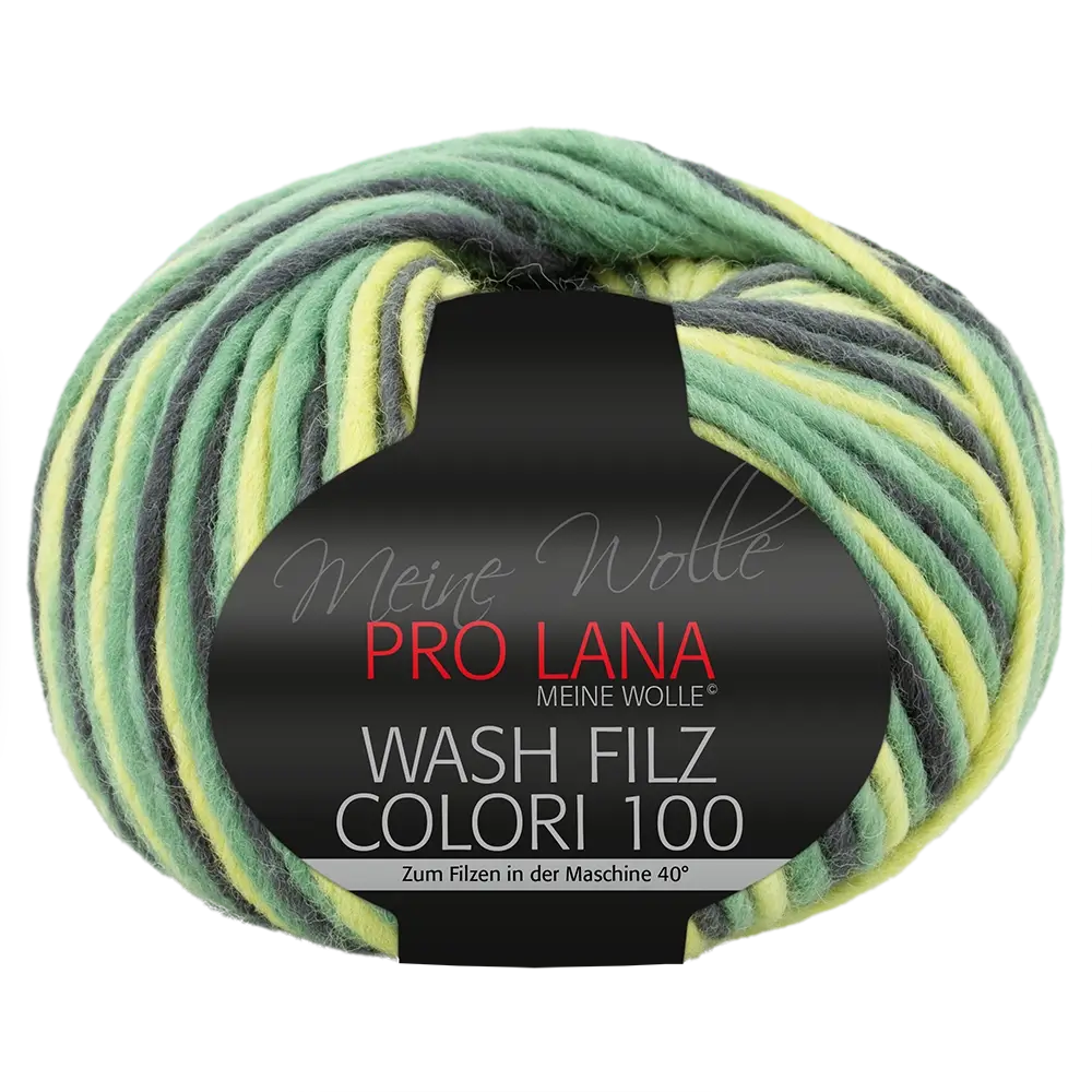 #Farbe_Pro Lana Was Filz Colori 100 | 702