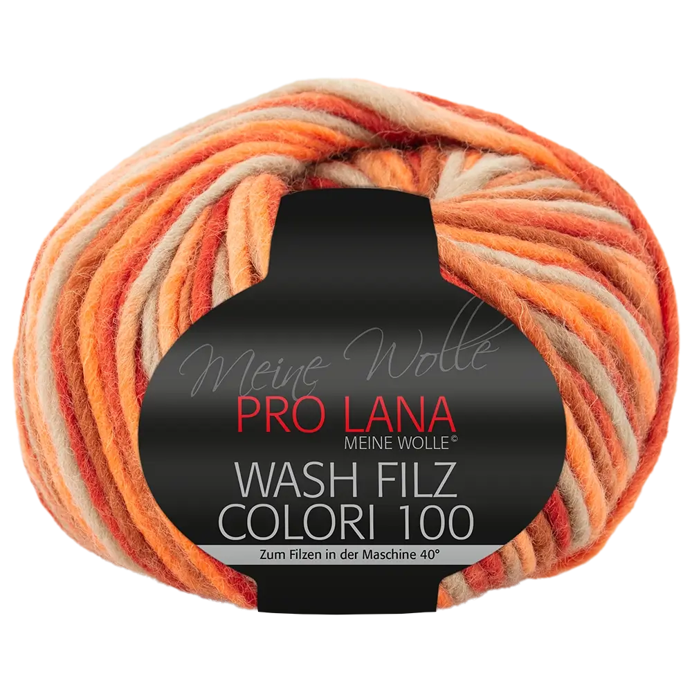 #Farbe_Pro Lana Was Filz Colori 100 | 704