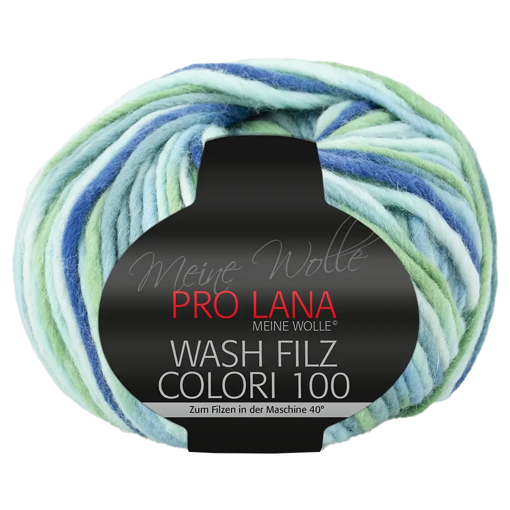 #Farbe_Pro Lana Was Filz Colori 100 | 709