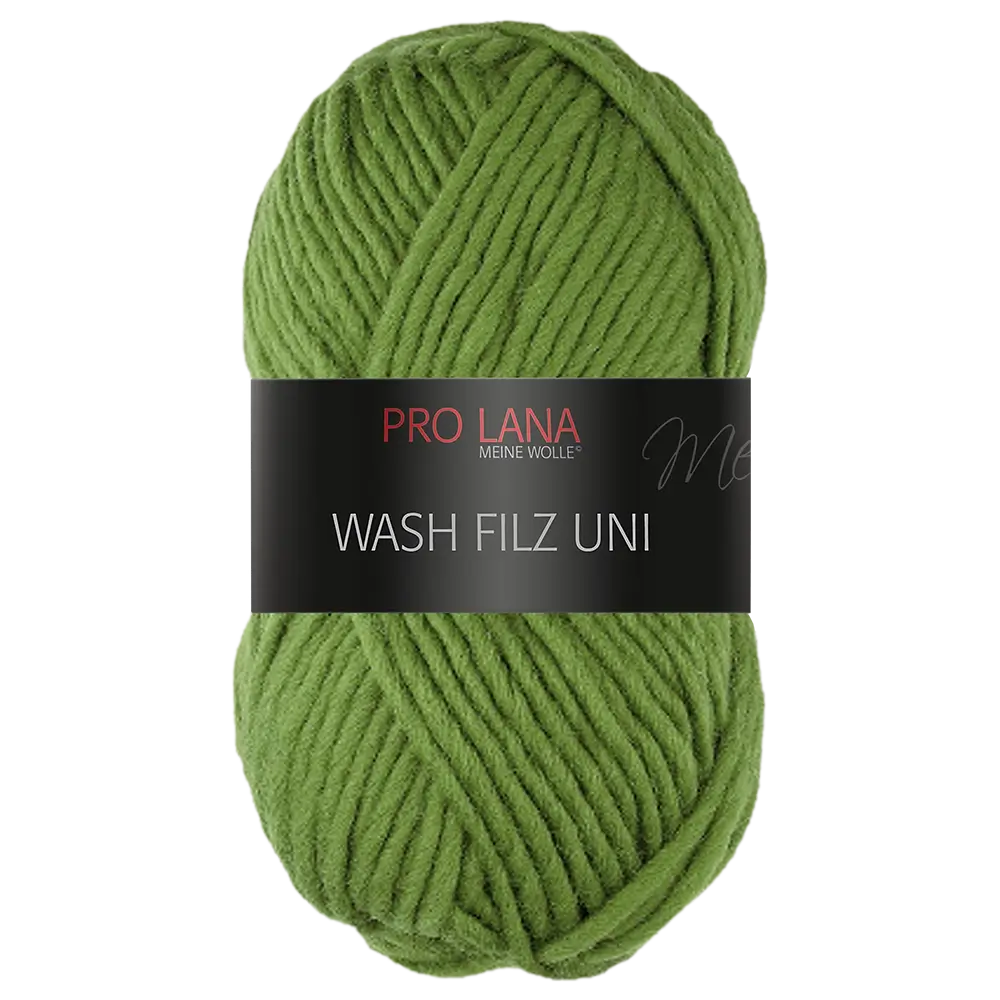 #Farbe_Pro Lana Wash Filz Uni | 170 Moos