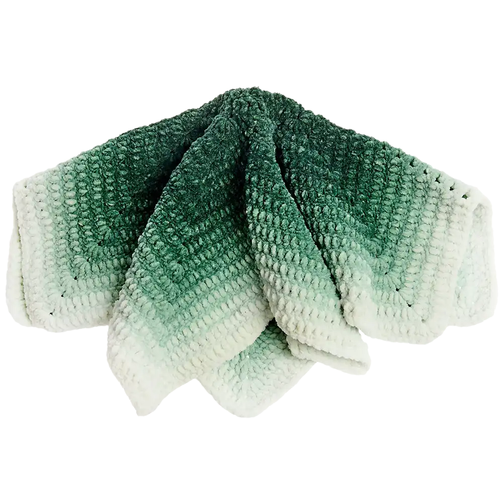 #Farbe_Rico Design Chenillove Dégradé | 006 Efeu