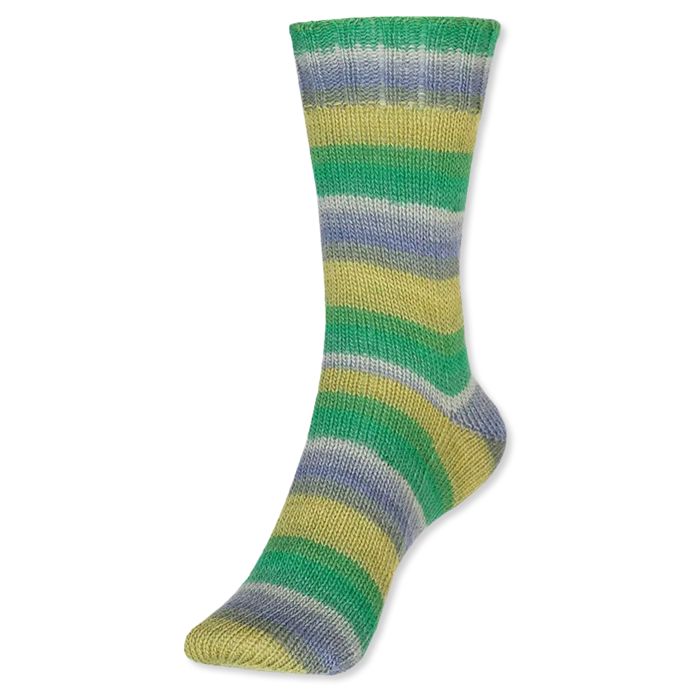 #Farbe_Schoeller + Stahl Fortissima Color 4-fach | 2429 Kawagoe
