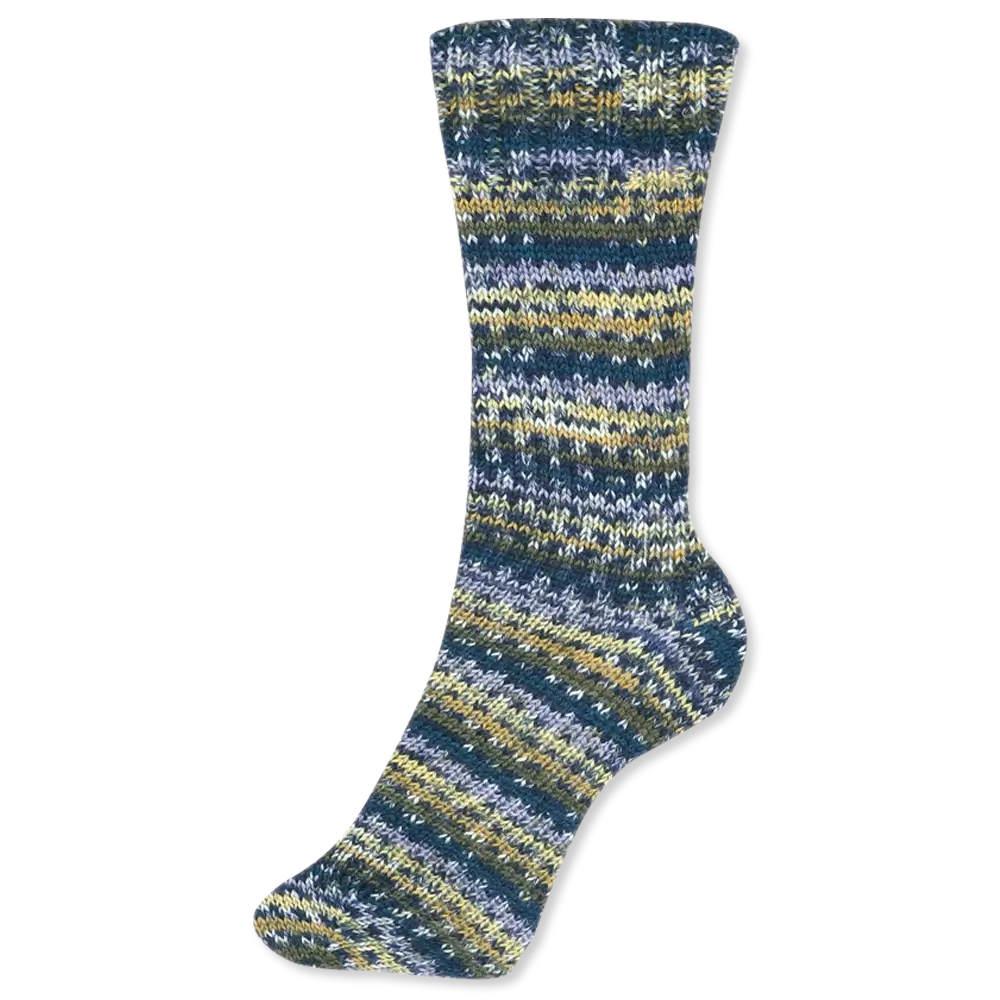 #Farbe_Schoeller + Stahl Fortissima Color 4-fach | 2491 Country