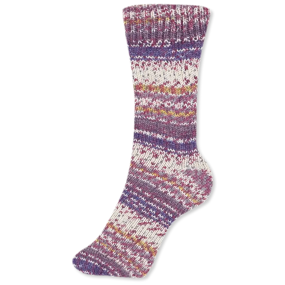 #Farbe_Schoeller + Stahl Fortissima Color 4-fach | 2492 Club