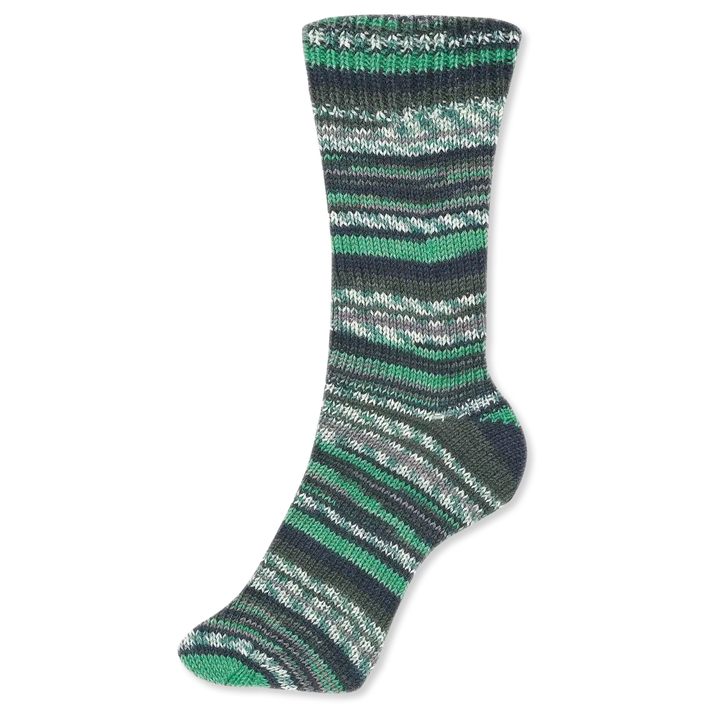 #Farbe_Schoeller + Stahl Fortissima Color 4-fach | 2495 Gras
