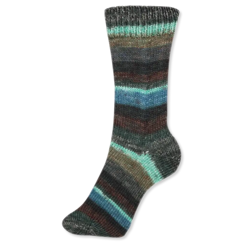 #Farbe_Schoeller + Stahl Fortissima Color 4-fach | 2499 Pflaume