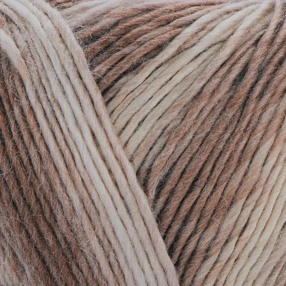 #Farbe_YarnArt Ambiance | 161