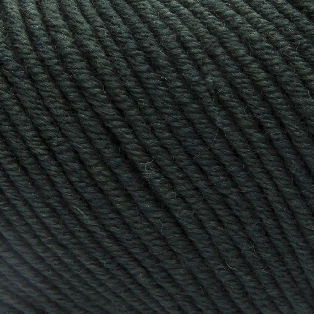 #Farbe_ggh Maxima | 009 Schiefergrün
