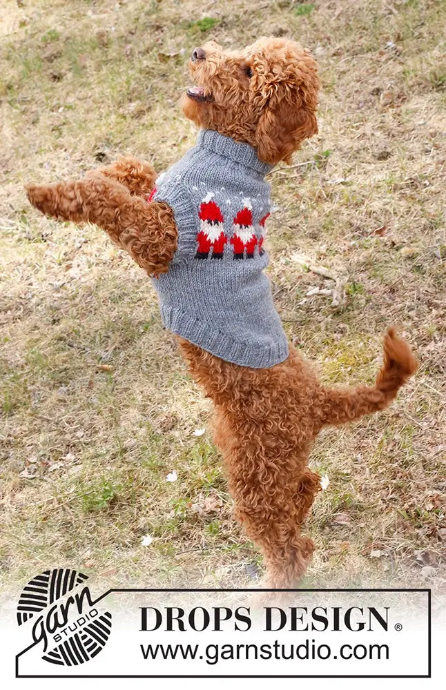 Pullover Weihnachtsmann für Hunde (Strickset)
