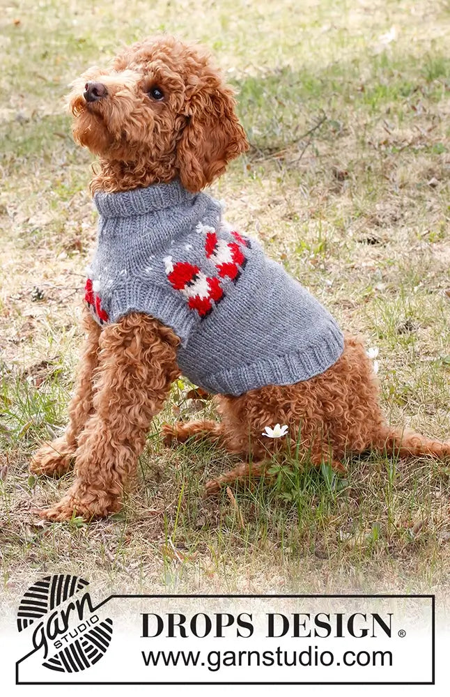Pullover Weihnachtsmann für Hunde (Strickset)