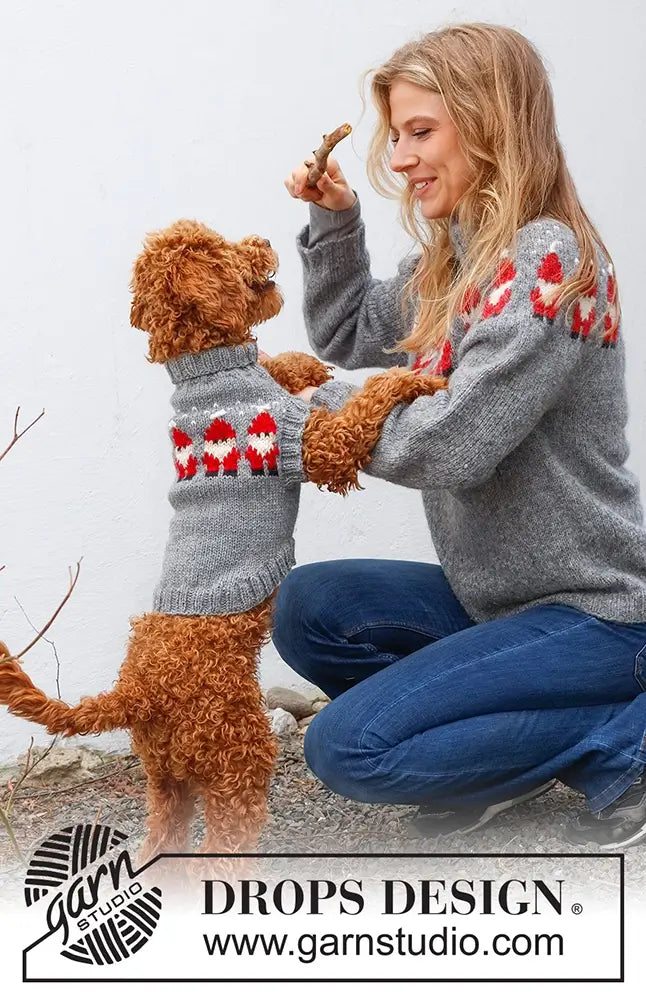 Pullover Weihnachtsmann für Hunde (Strickset)