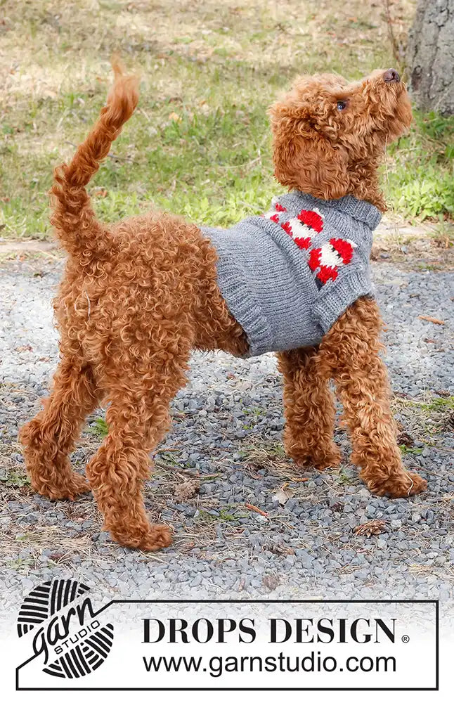Pullover Weihnachtsmann für Hunde (Strickset)