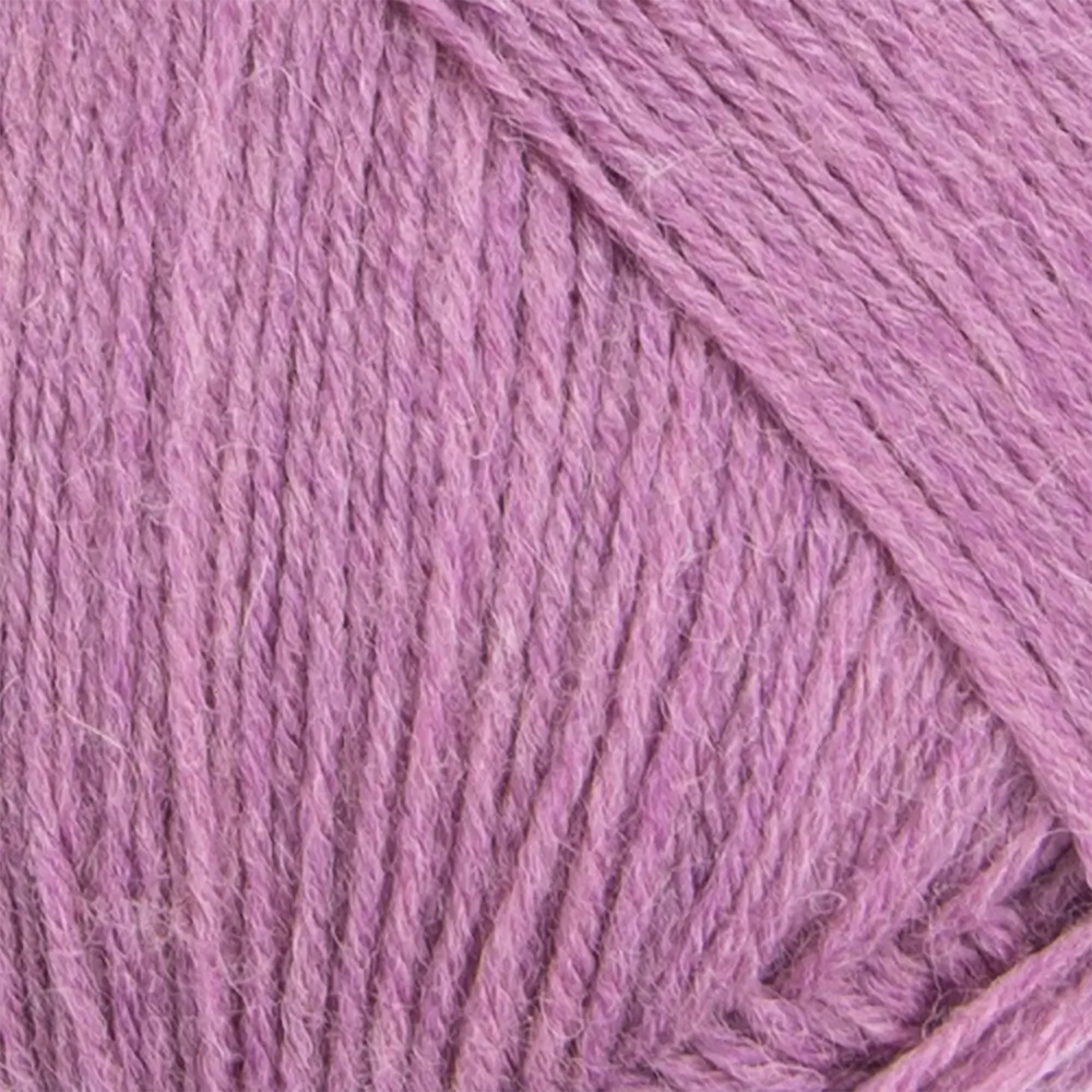 #Farbe_Frida's 22te | 4637 Orchidee