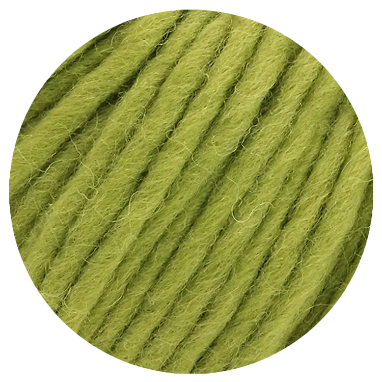#Farbe_Lana Grossa Feltro Uni | 21 Olive